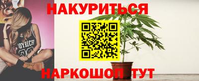 гидра Надым